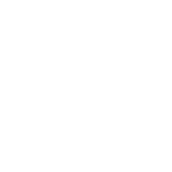Logo Barbarian